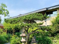 -新荣记(西溪湿地店)