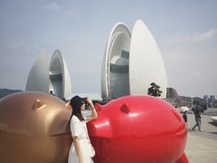 -野狸岛