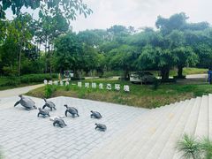 -广东惠东海龟国家级自然保护区