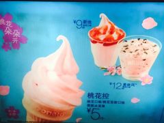 -麦当劳(郴州北湖店)