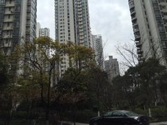 -新湖明珠城