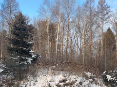 -长白山万达国际滑雪场