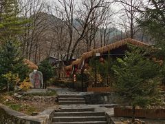 -朱雀国家森林公园