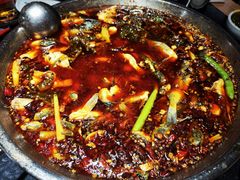 -小饕荟雅安贡椒鱼鲜馆(广福桥店)