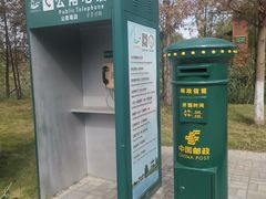 -泗洪洪泽湖湿地景区