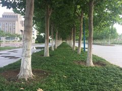 -南开大学滨海学院