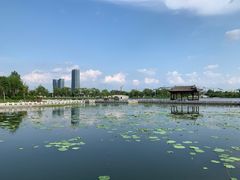 -长春北湖公园