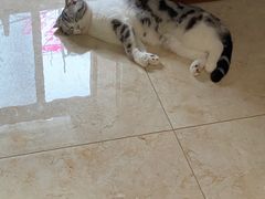 -坤济堂盲人推拿按摩