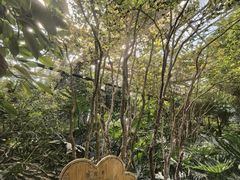 -呀路古热带植物园