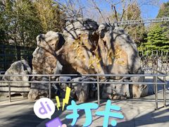 -皇家御河游(紫御湾码头)