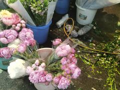 -循礼门鲜花花市(武汉循礼门店)