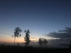 -郭阿姨月亮馍