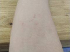 -西双版纳原始森林公园