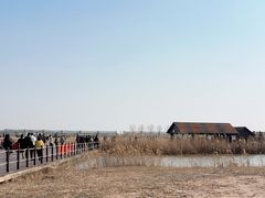 -盐城丹顶鹤湿地生态旅游区