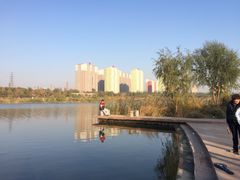 永定河休闲森林公园-永定河休闲森林公园