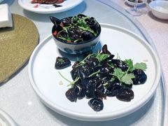 -天福苑(崇宁路店)