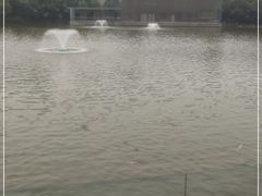 -春晖园度假酒店温泉