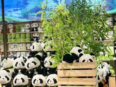 -The Green Party(碧湖万达广场店)