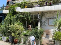 -春树下·树屋花房西餐厅(罍街AS1980店)