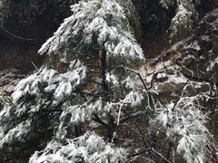 -江南天池高山汤泉城