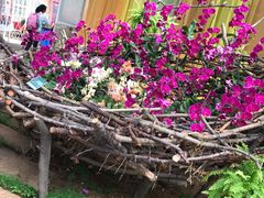 -石家庄市植物园