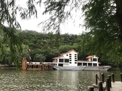 -深圳仙湖植物园