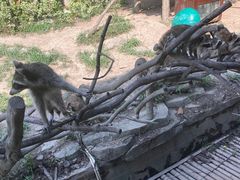-宁波野生动物园