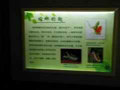 -上海昆虫博物馆