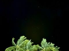 -卡帕莱度假村(西巴丹岛)