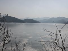 -望湖烤鱼