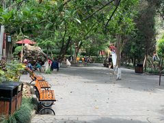-房湖公园