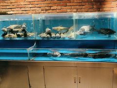 -洞庭鱼香(万科店)