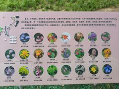 -香山公园
