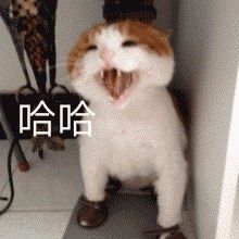 -星巴克(湖州梅地亚广场店)