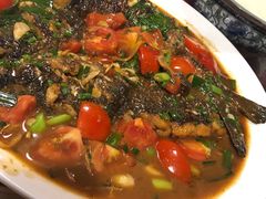 -生态苑农庄(十里画廊遇龙河店)