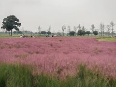 -汉长安城未央宫国家考古遗址公园