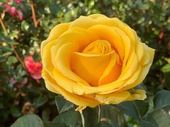 -人民公园(罗湖区)