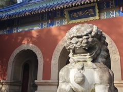-灵谷景区
