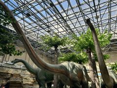 -国家自然博物馆