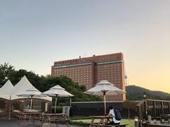 -新罗免税店(首尔总店)
