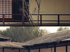 -北京世界公园