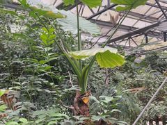 -金稼园·金平湖农家菜