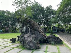 -海口火山口国家地质公园