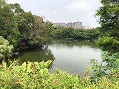 -广州长隆野生动物世界
