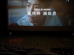 -上影国际影城(普陀绿地缤纷城店)