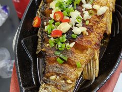 -老黑板筋(顺义总店)