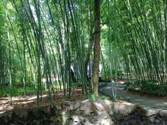 -兰亭风景区