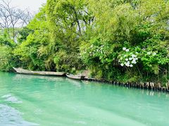 -西溪国家湿地公园