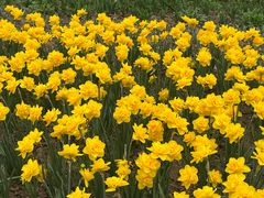 -玄武湖景区-情侣园游乐场