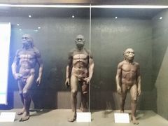 -北京周口店北京人遗址博物馆